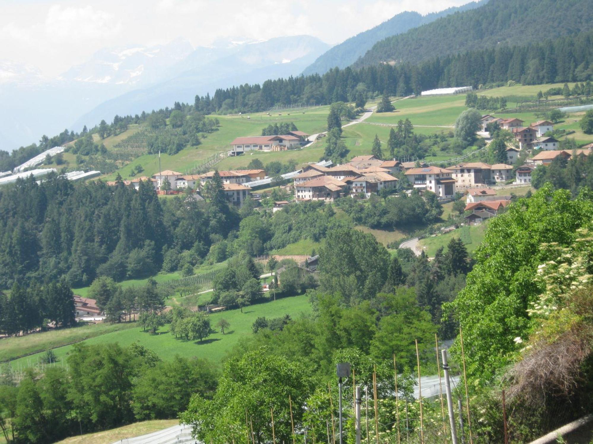 Agriturismo Pisani Brez Ngoại thất bức ảnh